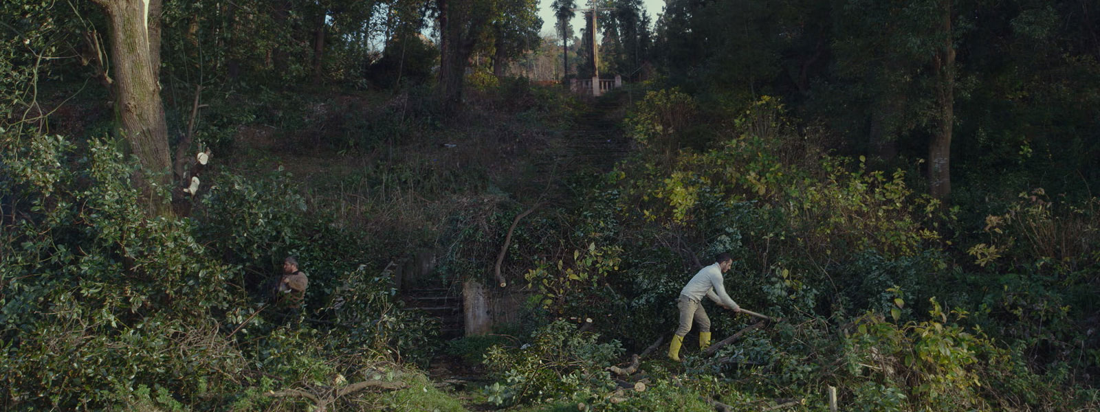 Image from 'Taming the Garden'