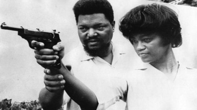 negroes with guns: rob williams and black power