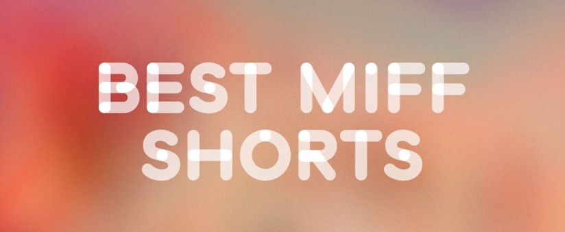 Best MIFF Shorts