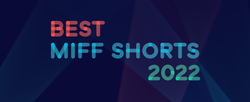 Best MIFF Shorts
